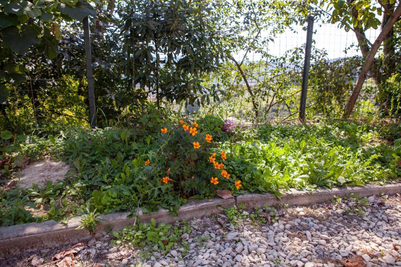 La Casa Rosa Apartment Piobesi d'Alba ภายนอก รูปภาพ