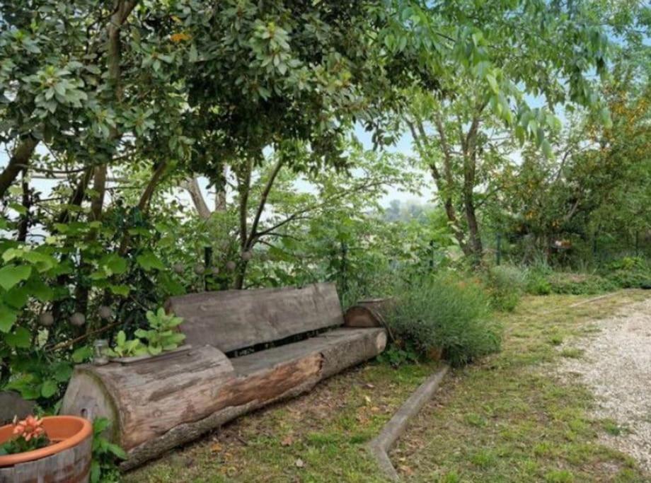 La Casa Rosa Apartment Piobesi d'Alba ภายนอก รูปภาพ